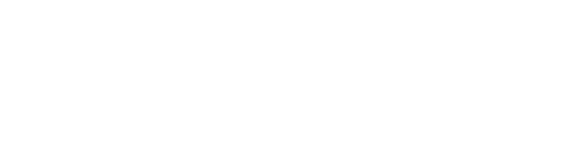 Logo Träumer weiss
